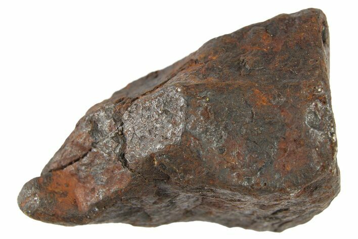 Canyon Diablo Iron Meteorite ( g) - Arizona #262886